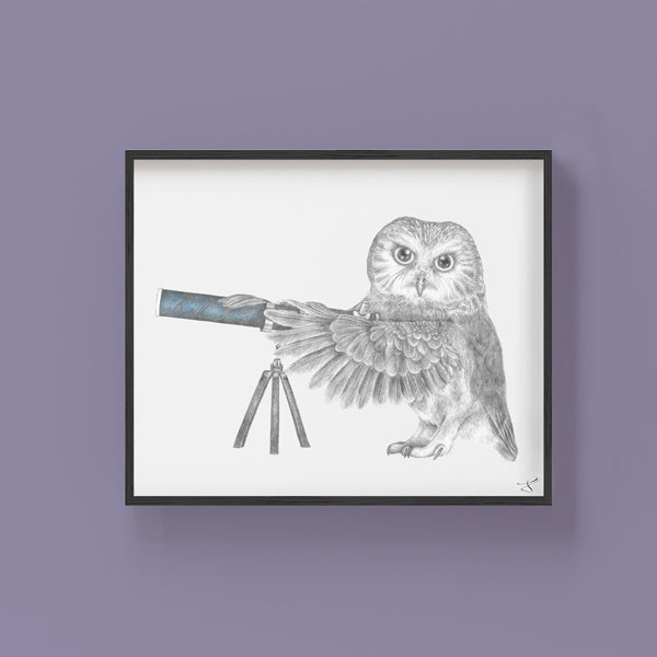 Hand-drawn pencil illustration of Pearl Papineau Saw Whet Owl, Central & Gus 8x10 art print on 318gsm cotton paper in protective cello