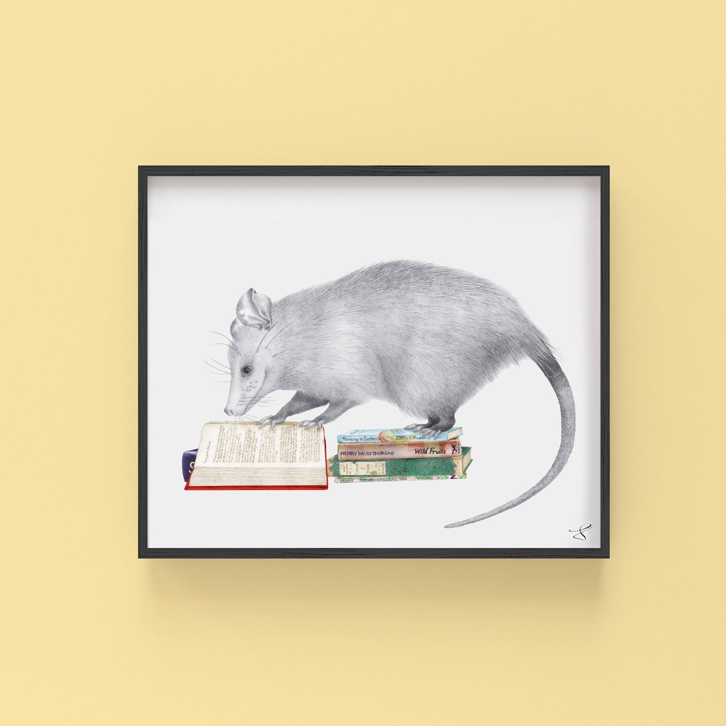 Hand-drawn pencil illustration of Henry Gossamer Opossum, Central & Gus 8x10 art print on 318gsm cotton paper in protective cello