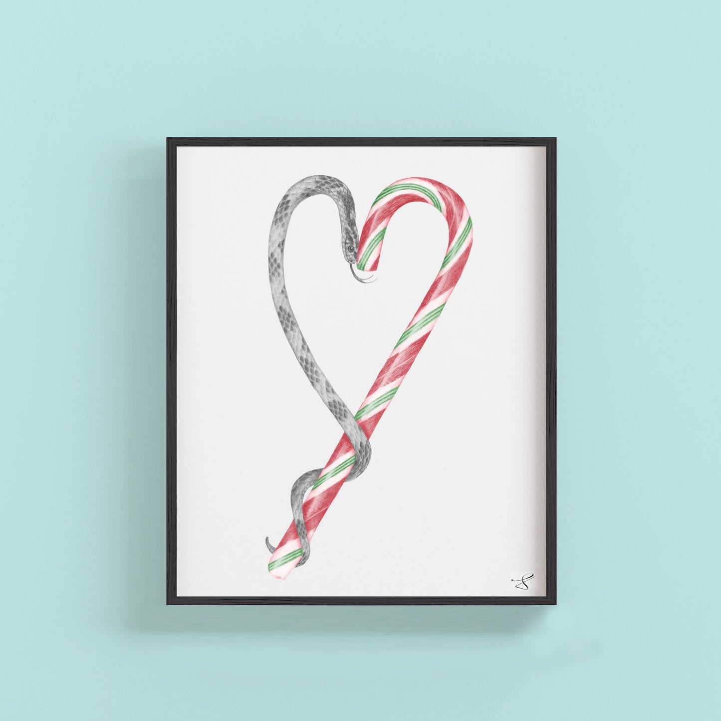 Hand-drawn pencil illustration of Archie Jupiter Candycane Corn Snake, Central & Gus 8x10 art print on 318gsm cotton paper in protective cello