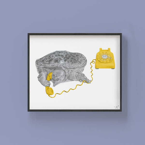 Hand-drawn pencil illustration of Otis Idlewood Florida Softshell Turtle, Central & Gus 8x10 art print on 318gsm cotton paper in protective cello