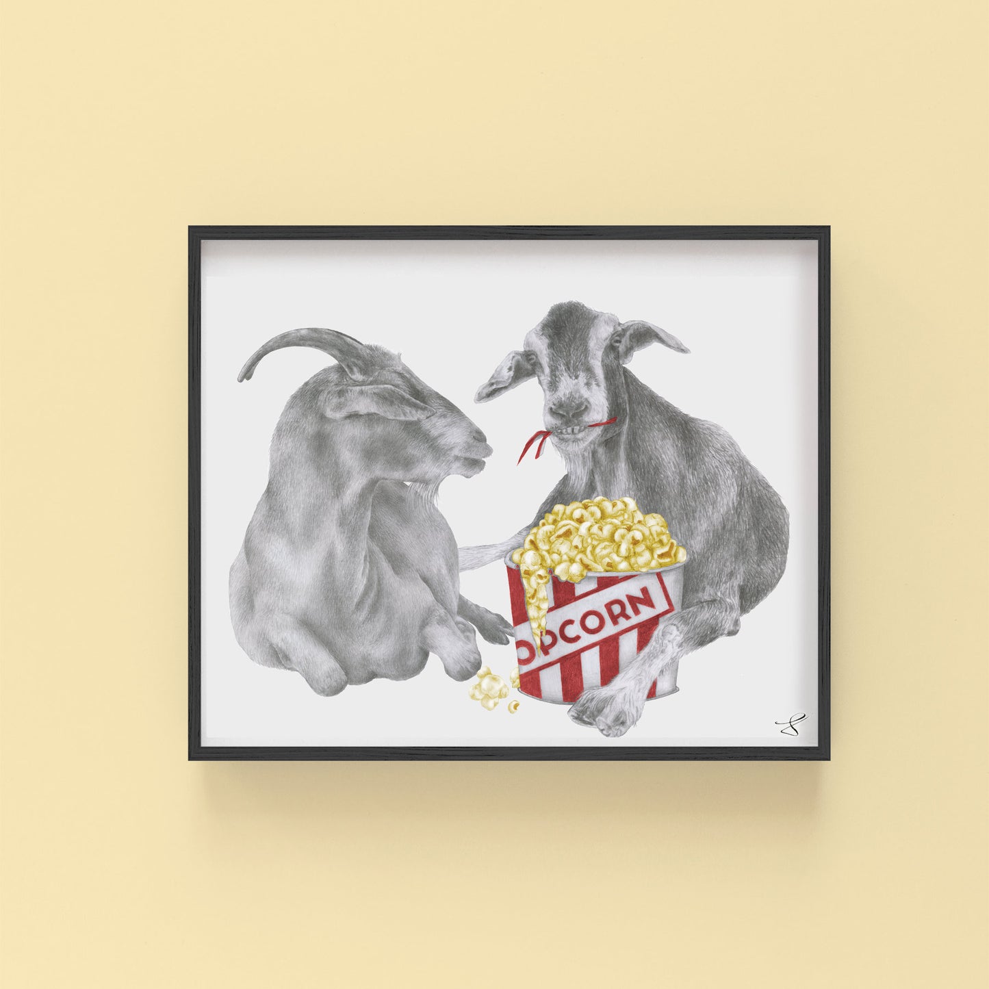Hand-drawn pencil illustration of Salt & Bale Sheridan Goat, Central & Gus 8x10 art print on 318gsm cotton paper in protective cello