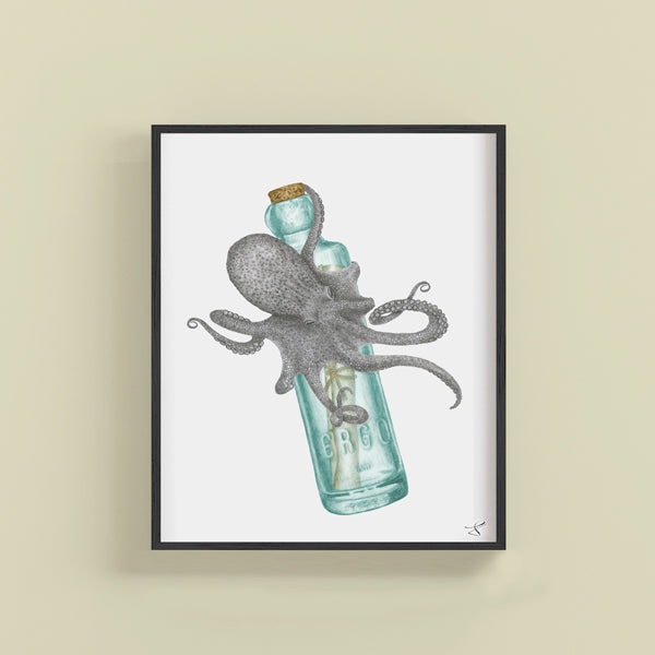 Hand-drawn pencil illustration of Pip Verdad Common Octopus, Central & Gus 8x10 art print on 318gsm cotton paper in protective cello