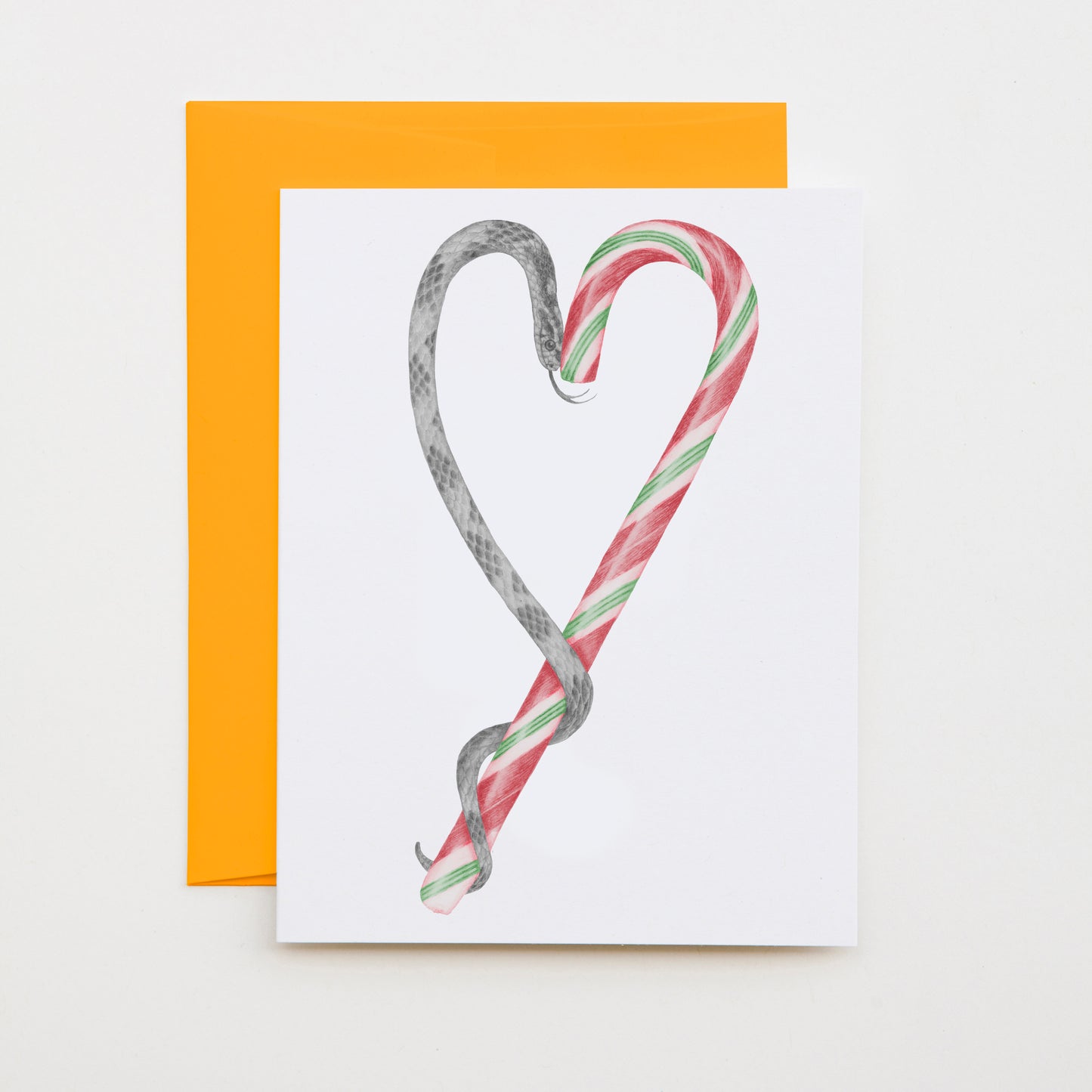Hand-drawn pencil illustration of Archie Jupiter Candycane Corn Snake, Central & Gus A6 note card on cotton paper with goldenrod envelope