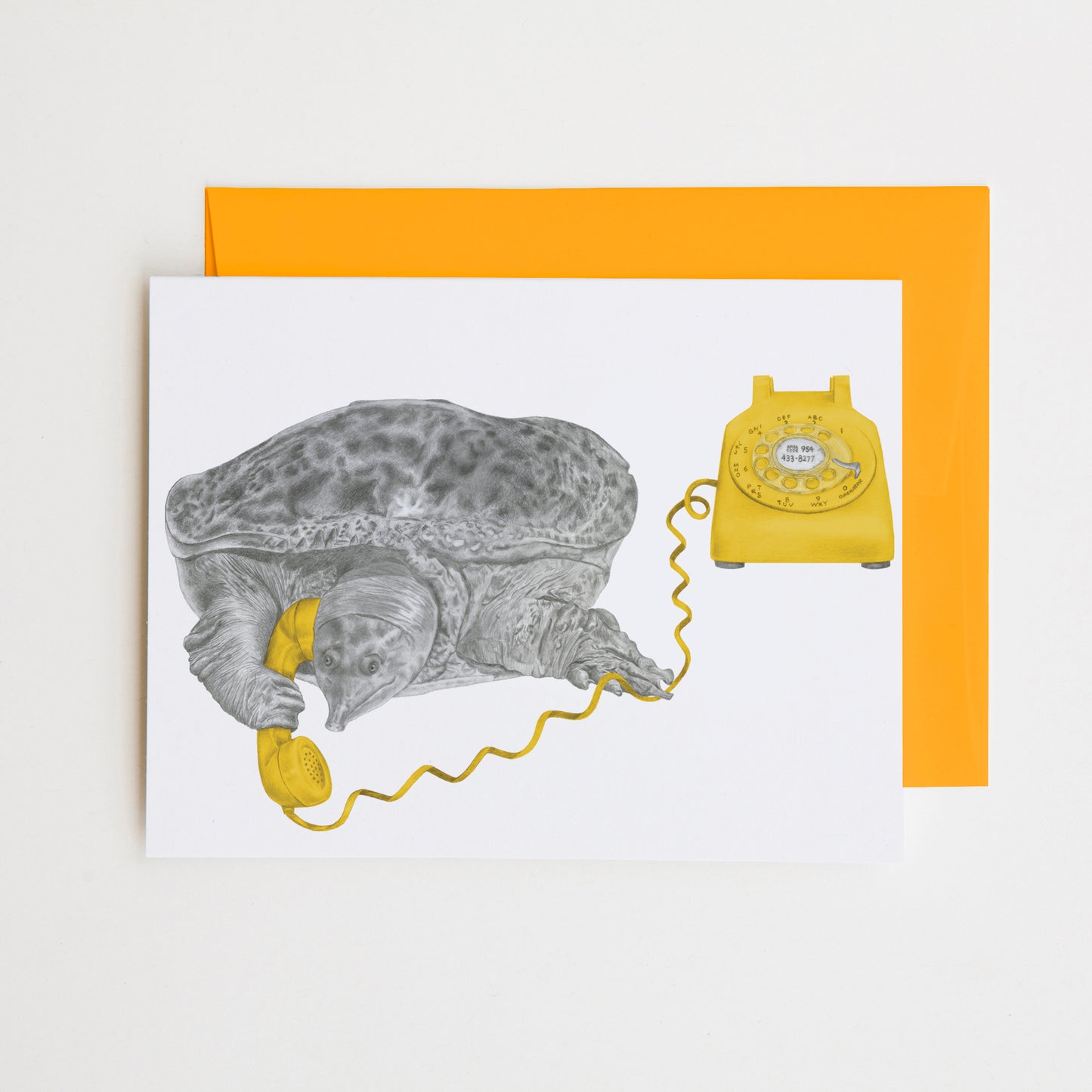 Hand-drawn pencil illustration of Otis Idlewood Florida Softshell Turtle, Central & Gus A6 note card on cotton paper with goldenrod envelope