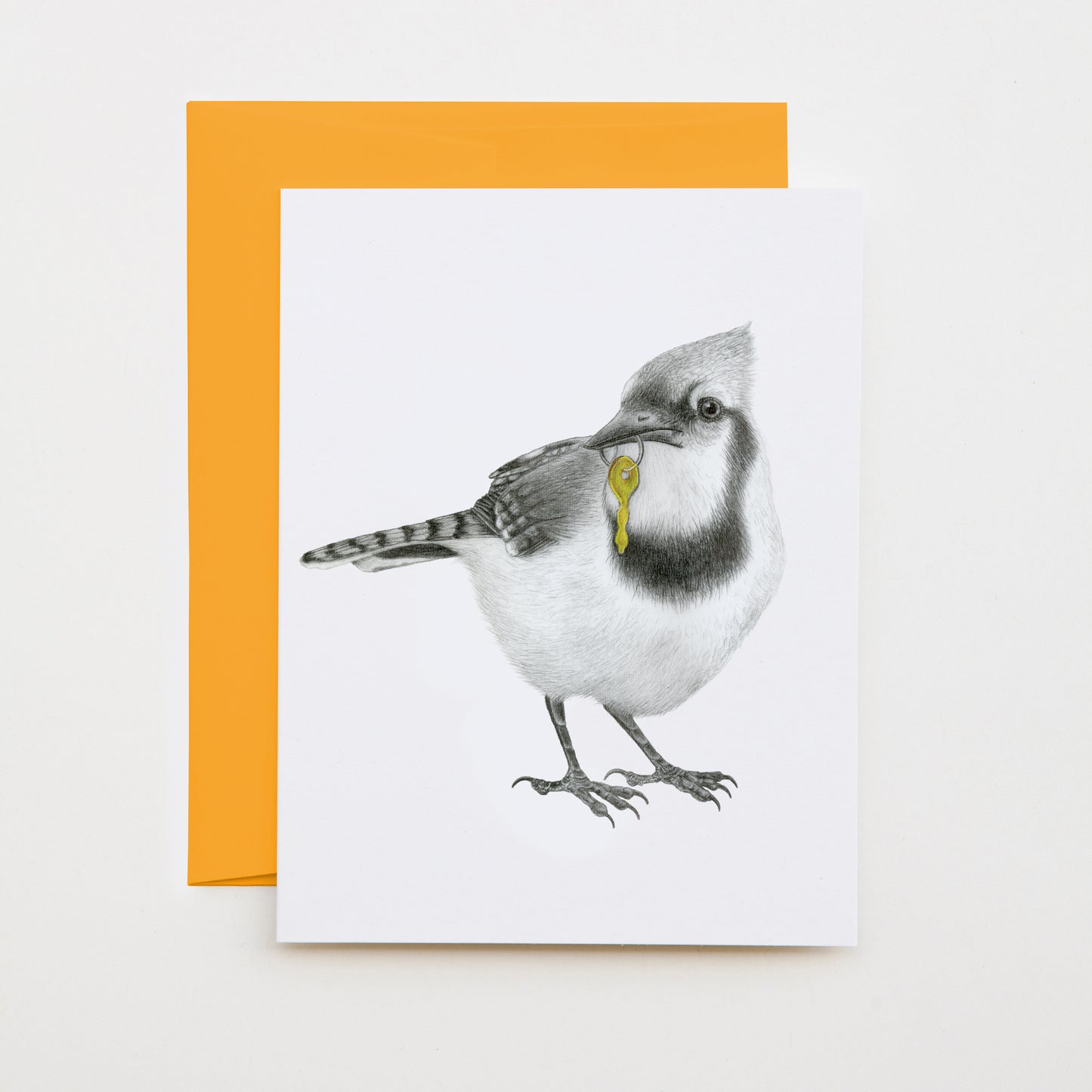 Hand-drawn pencil illustration of Ray Pembroke Blue Jay, Central & Gus A6 note card on cotton paper with goldenrod envelope
