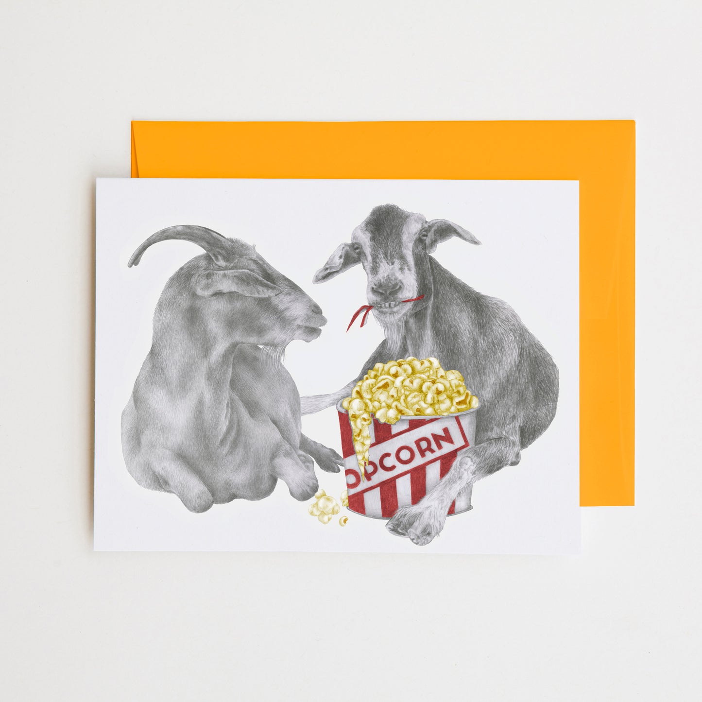 Hand-drawn pencil illustration of Salt & Bale Sheridan Goat, Central & Gus A6 note card on cotton paper with goldenrod envelope
