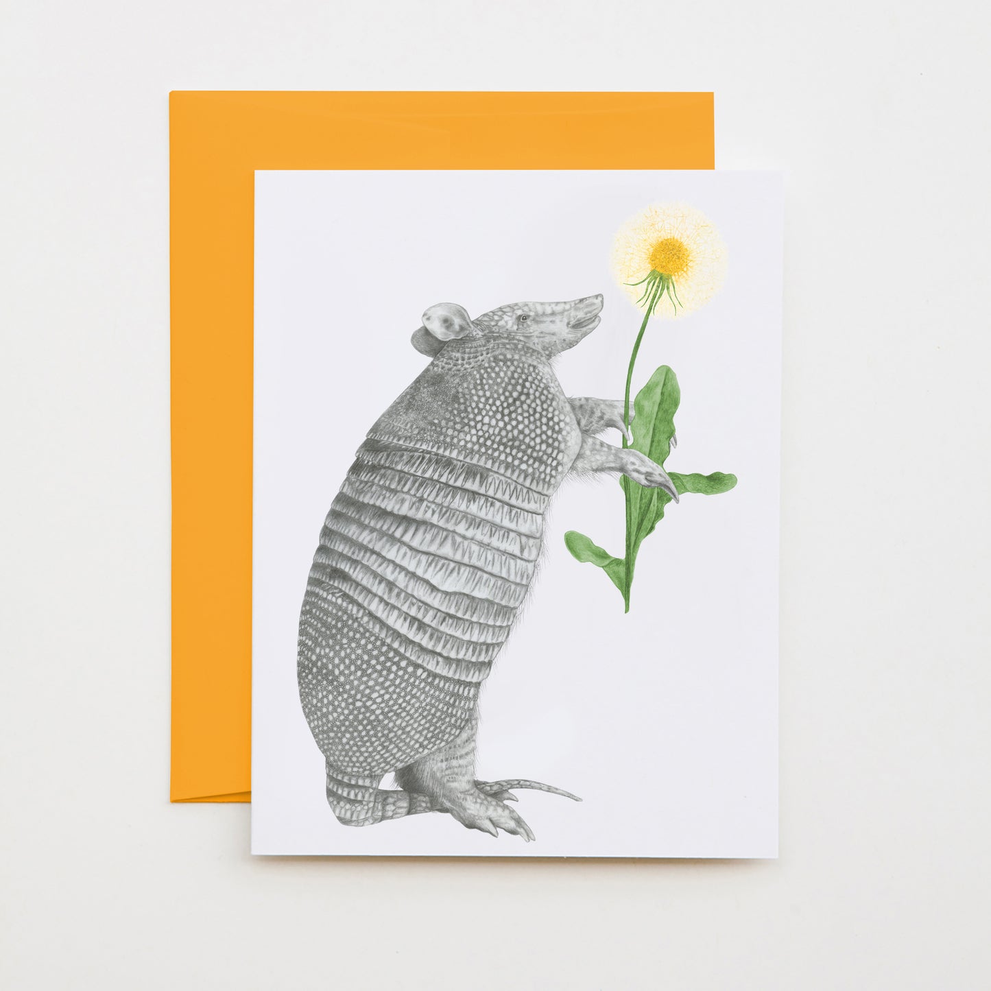 Hand-drawn pencil illustration of Tuck Sawgrass Nine Band Armadillo, Central & Gus jumbo cameo note card on cotton paper with goldenrod envelope