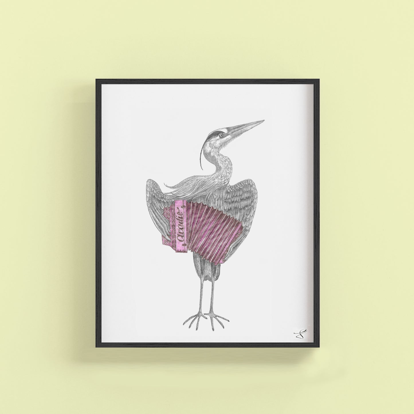 Bruce Balfour Great Blue Heron Portrait Study