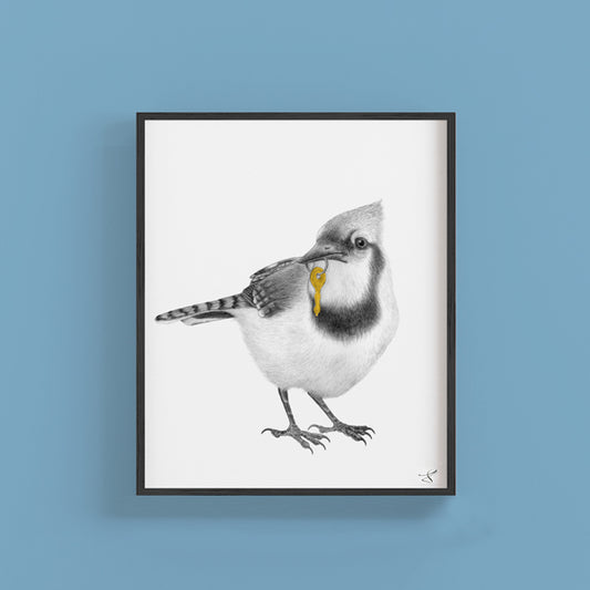 Ray Pembroke Blue Jay Portrait Study