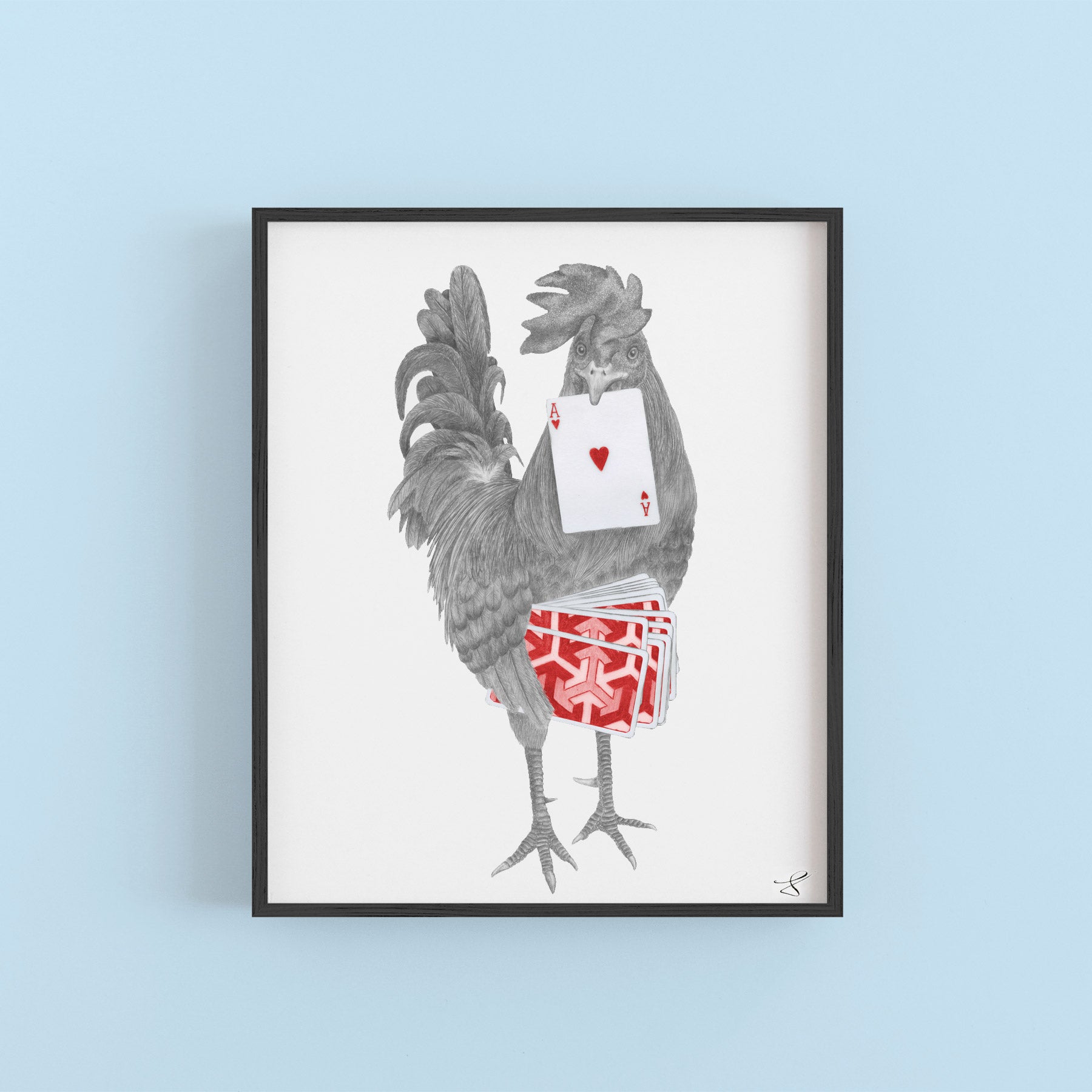 Hand-drawn pencil illustration of Petey Duval Key West Gypsy Rooster, Central & Gus 8x10 art print on 318gsm cotton paper in protective cello