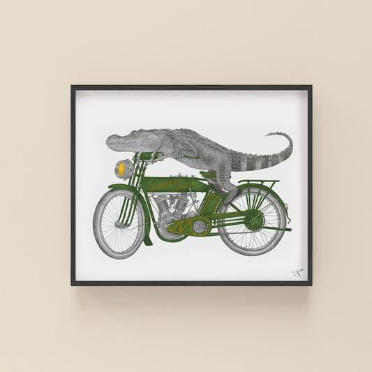 Charlie Bonaventure Alligator Portrait Study