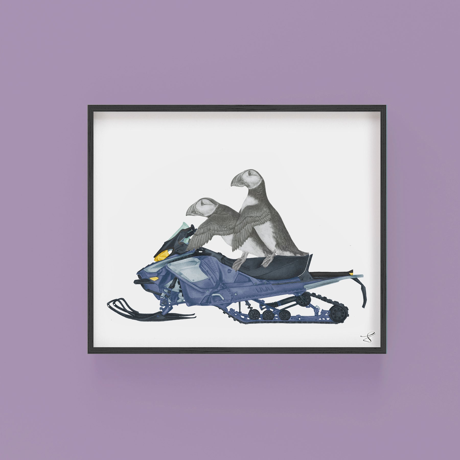 Hand-drawn pencil illustration of Hazel & Filbert Ensueno Puffin, Central & Gus 8x10 art print on 318gsm cotton paper in protective cello