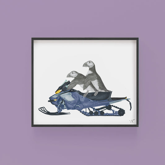 Hazel & Filbert Ensueno Puffin Portrait Study