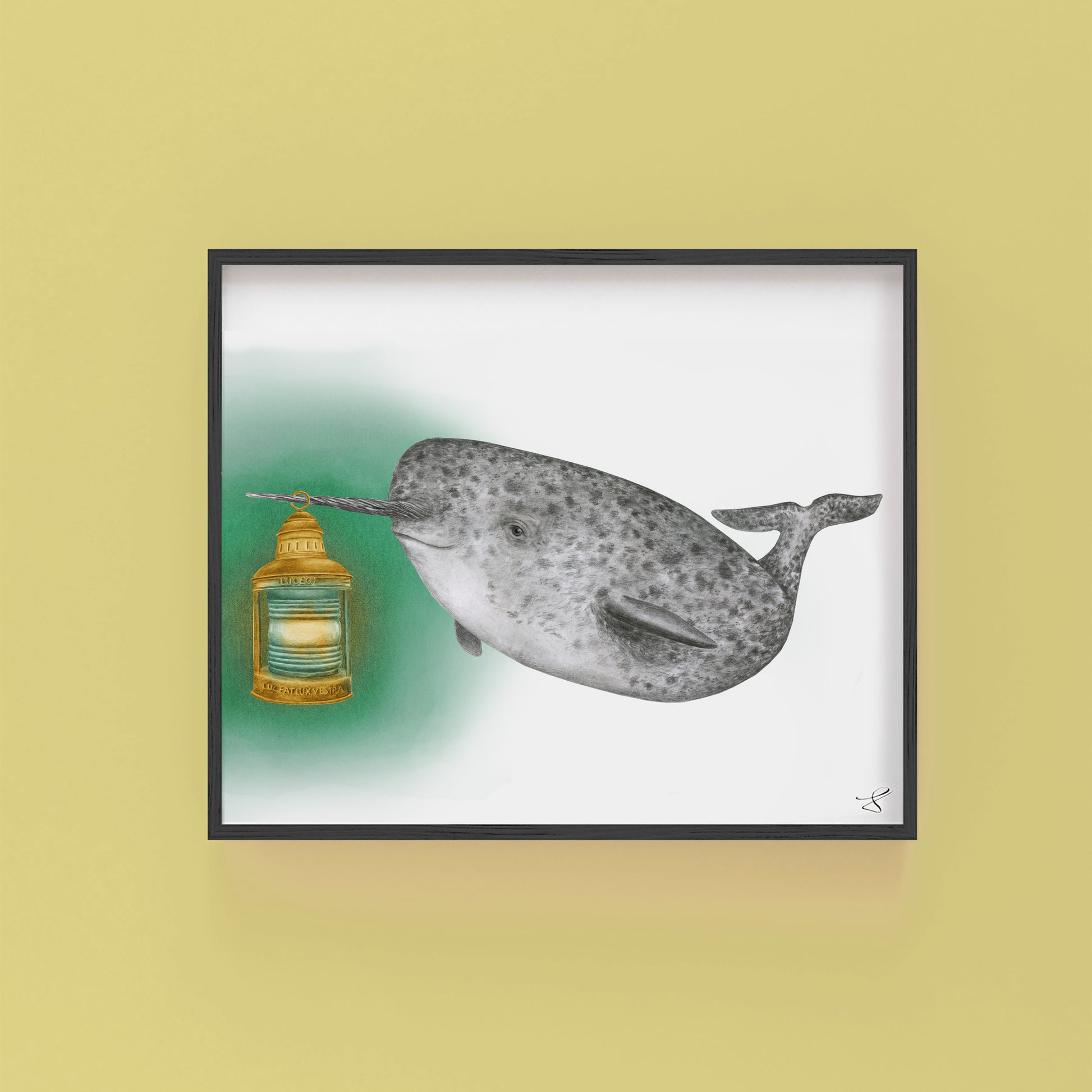 Hand-drawn pencil illustration of Bellisario Vieux Narwhal, Central & Gus 8x10 art print on 318gsm cotton paper in protective cello