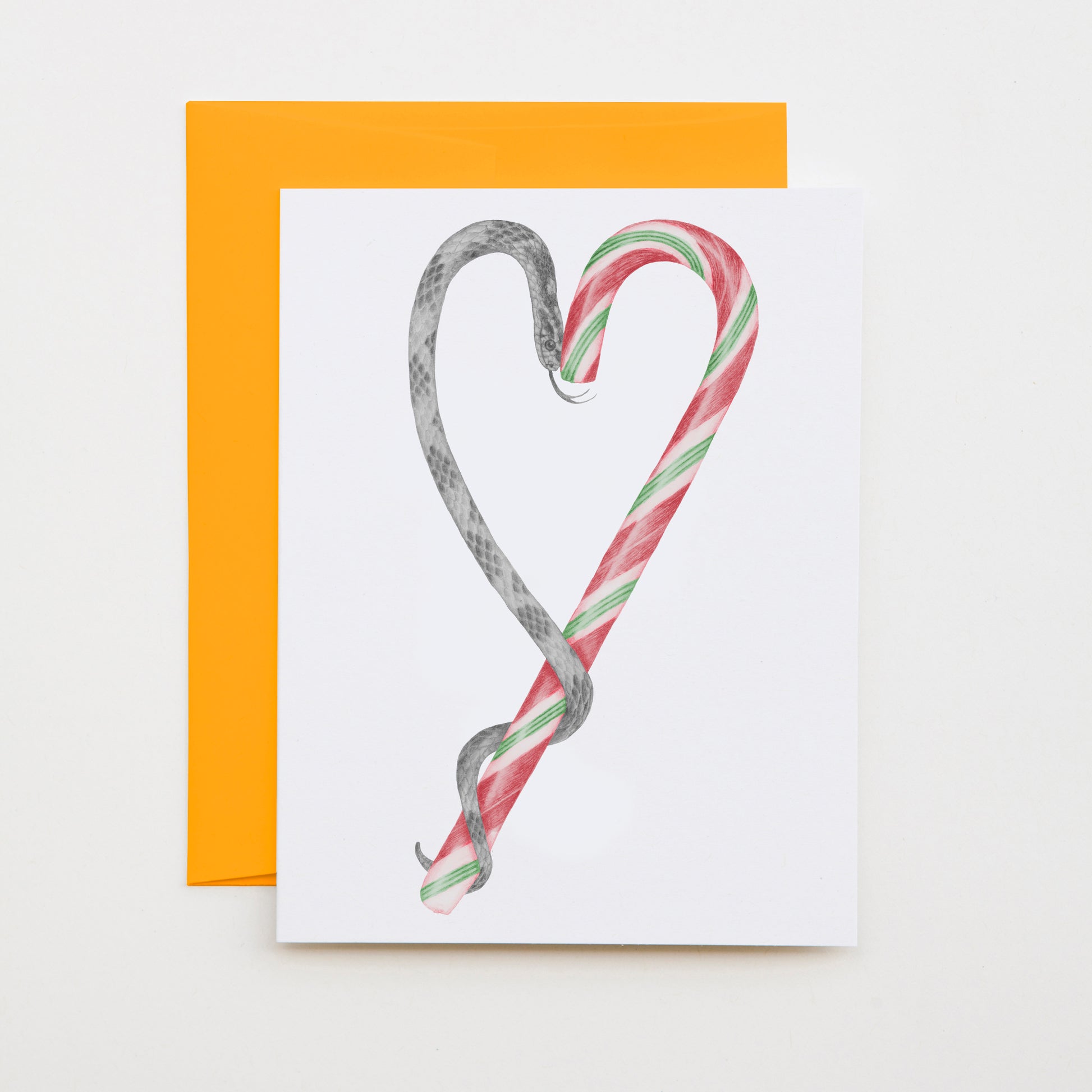 Hand-drawn pencil illustration of Archie Jupiter Candycane Corn Snake, Central & Gus A6 note card on cotton paper with goldenrod envelope
