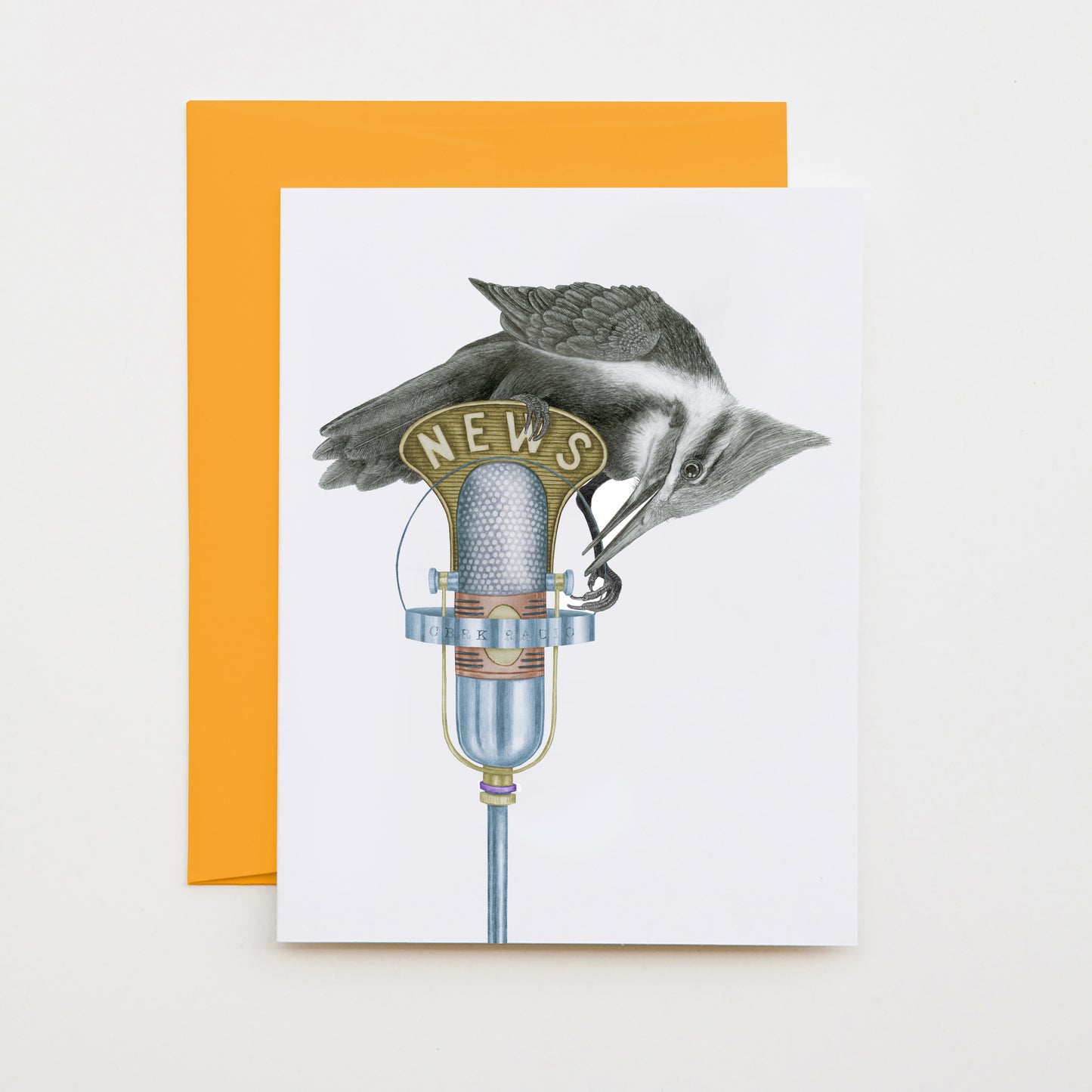 Hand-drawn pencil illustration of Barkley McClure Pileated Woodpecker, Central & Gus A6 note card on cotton paper with goldenrod envelope