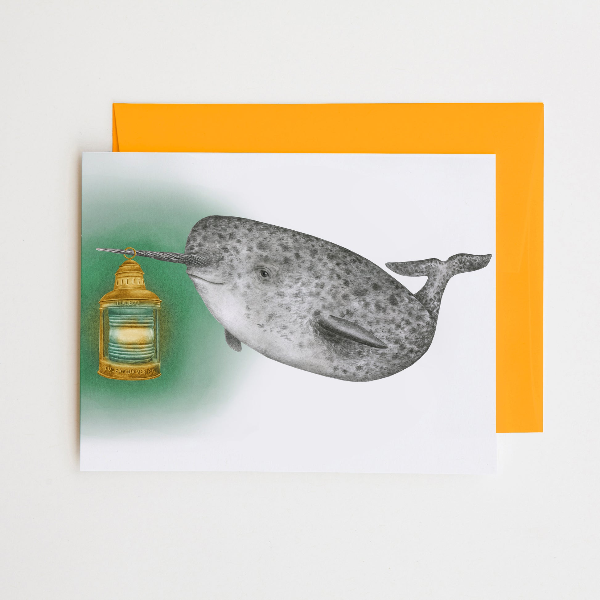 Hand-drawn pencil illustration of Bellisario Vieux Narwhal, Central & Gus A6 note card on cotton paper with goldenrod envelope