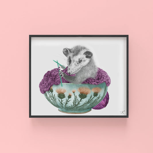 Fable Stover Opossum Portrait Study