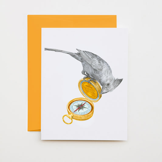 Hand-drawn pencil illustration of Glory Bellevue Cardinal, Central & Gus A6 note card on cotton paper with goldenrod envelope