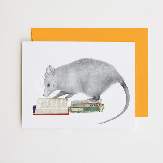 Hand-drawn pencil illustration of Henry Gossamer Opossum, Central & Gus A6 note card on cotton paper with goldenrod envelope