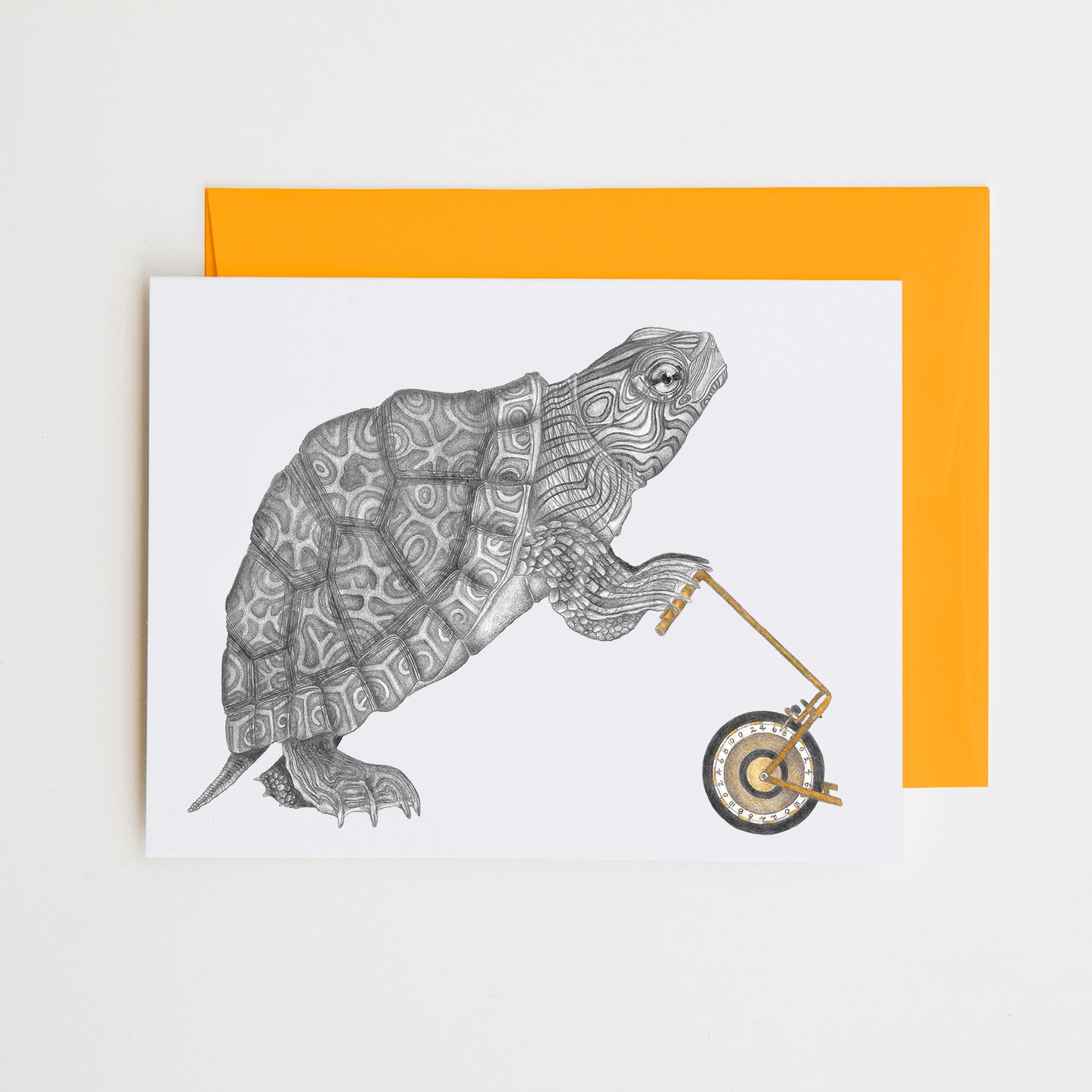 Hand-drawn pencil illustration of Muldoon Parker Common Map Turtle, Central & Gus jumbo cameo note card on cotton paper with goldenrod envelope