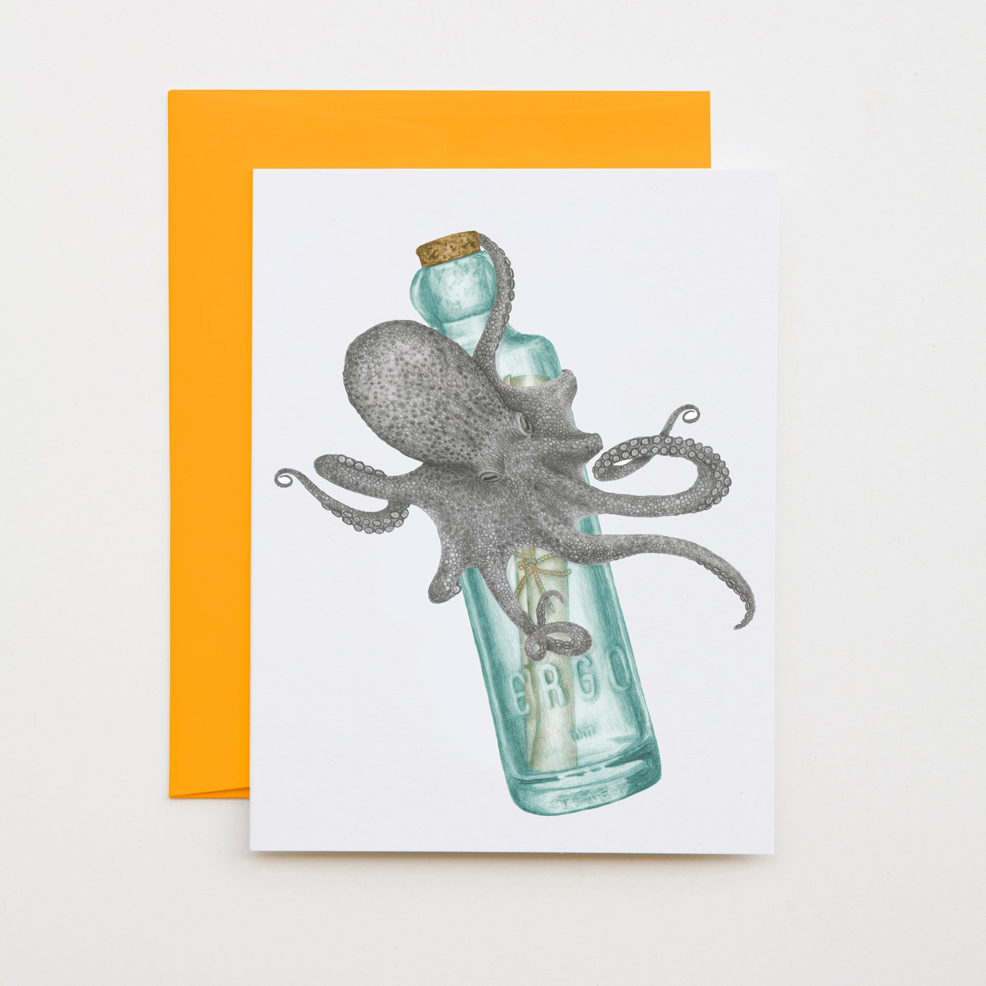 Hand-drawn pencil illustration of Pip Verdad Common Octopus, Central & Gus A6 note card on cotton paper with goldenrod envelope
